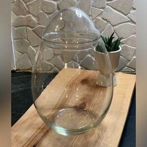 VINTAGE LIBBEY | Egg Shape Apothecary Jar Terrarium | Clear Glass